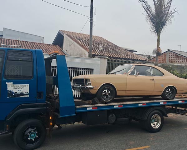 Marcelo Paulik Guincho Araucaria 24h